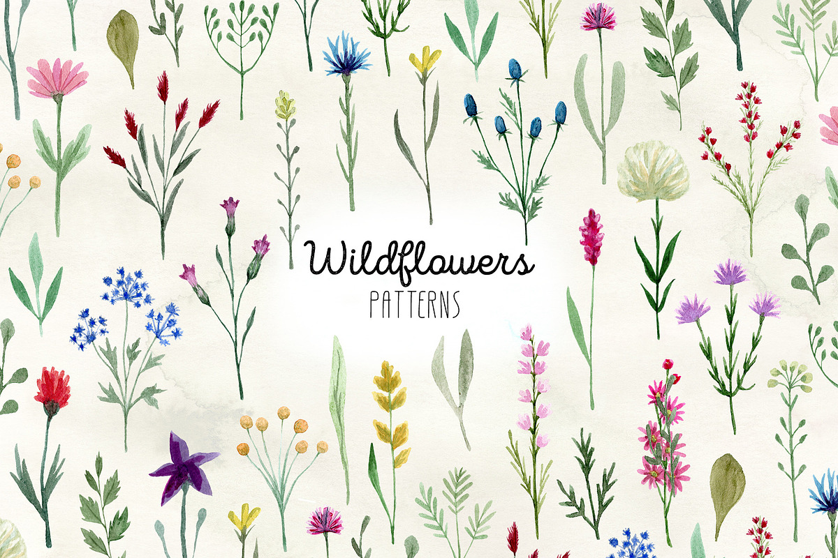 Watercolor Wildflowers. Patterns in Patterns - product preview 8
