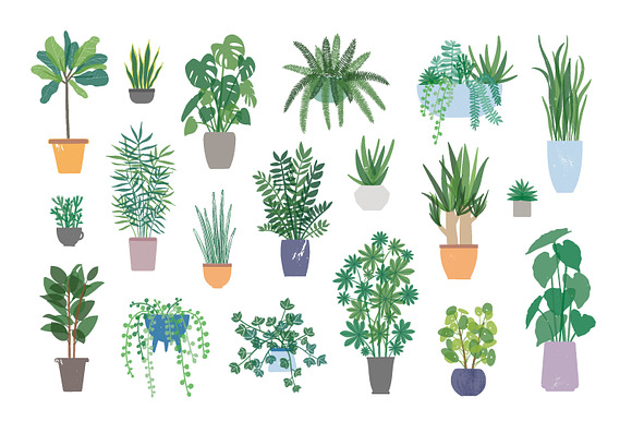 Trendy houseplants set and patterns in Illustrations - product preview 1