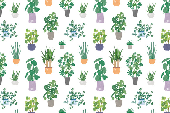 Trendy houseplants set and patterns in Illustrations - product preview 2