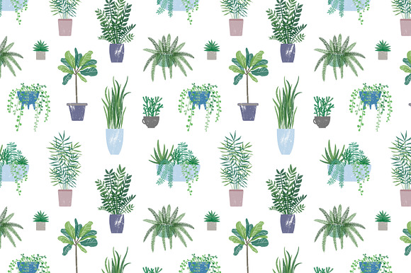 Trendy houseplants set and patterns in Illustrations - product preview 4