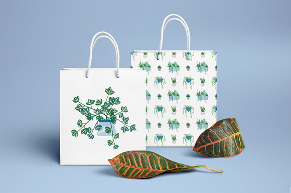 Trendy houseplants set and patterns in Illustrations - product preview 5