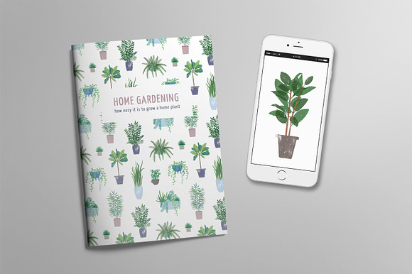 Trendy houseplants set and patterns in Illustrations - product preview 6