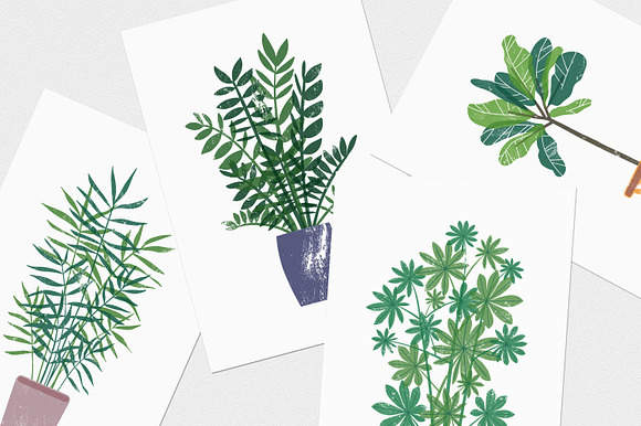 Trendy houseplants set and patterns in Illustrations - product preview 8
