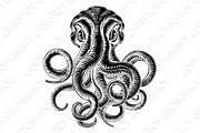 Octopus or Cthulhu Squid Monster