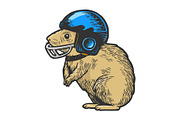 Hamster in football helmet vector