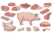 Pork meat butchery cutting scheme