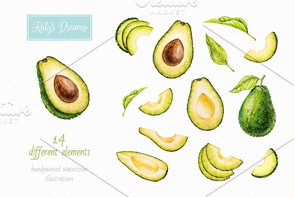Avocado. Watercolor. in Illustrations - product preview 1