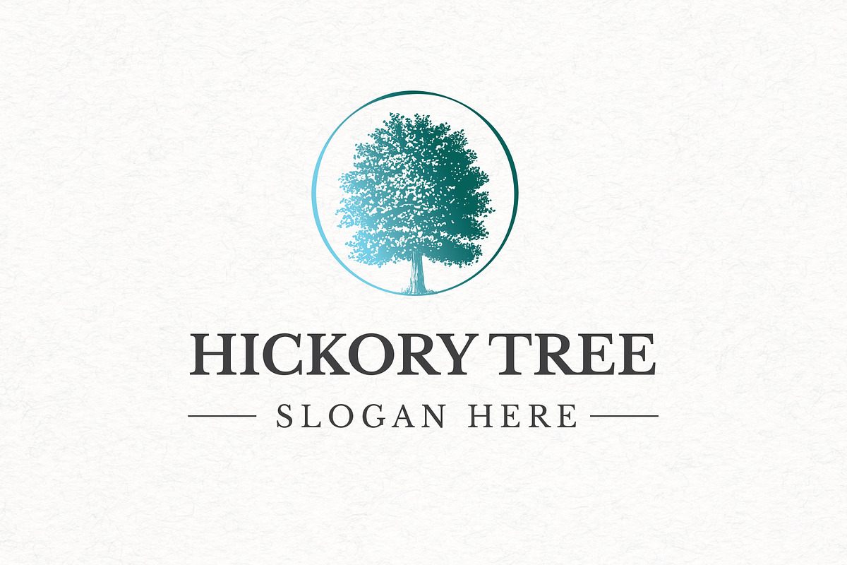 Hickory Tree Logo Template in Logo Templates - product preview 8
