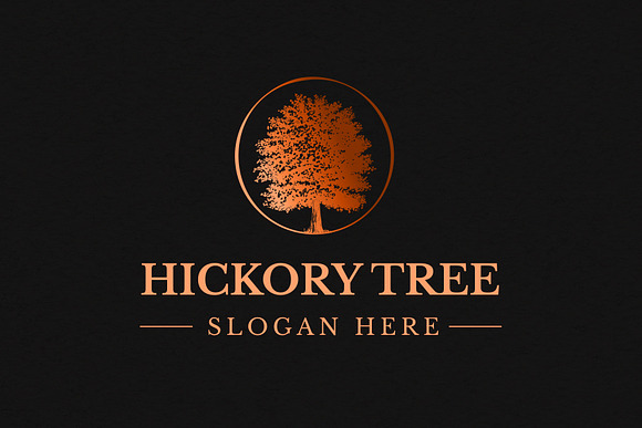 Hickory Tree Logo Template in Logo Templates - product preview 1
