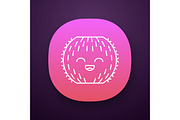 Barrel cactus app icon
