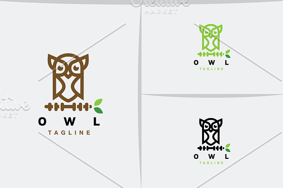 Owl Logo in Logo Templates - product preview 1