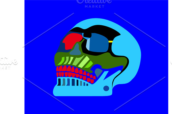 Skull icon blue color vector