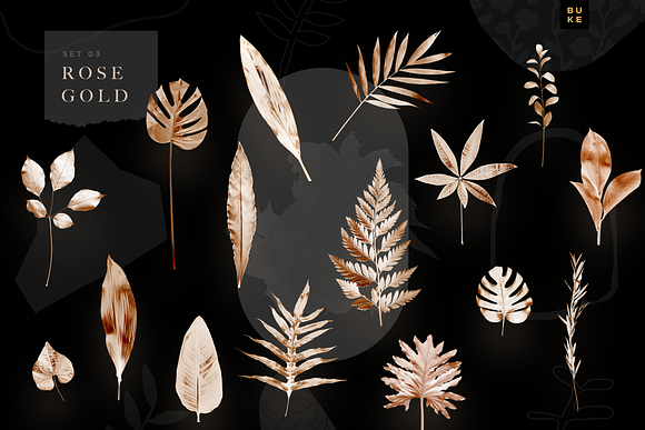 Leaf Lover - Botanicals Art Bundle in Objects - product preview 3