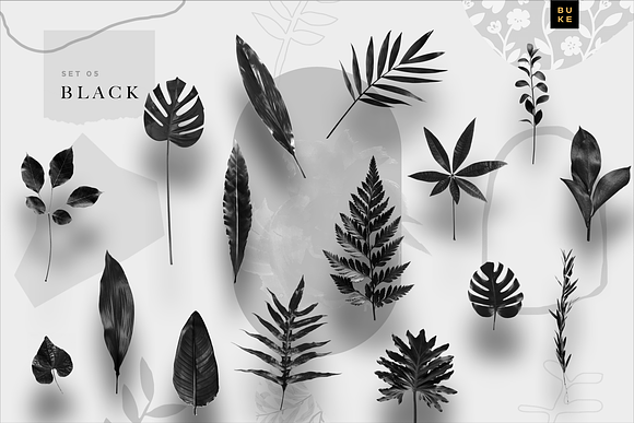 Leaf Lover - Botanicals Art Bundle in Objects - product preview 5