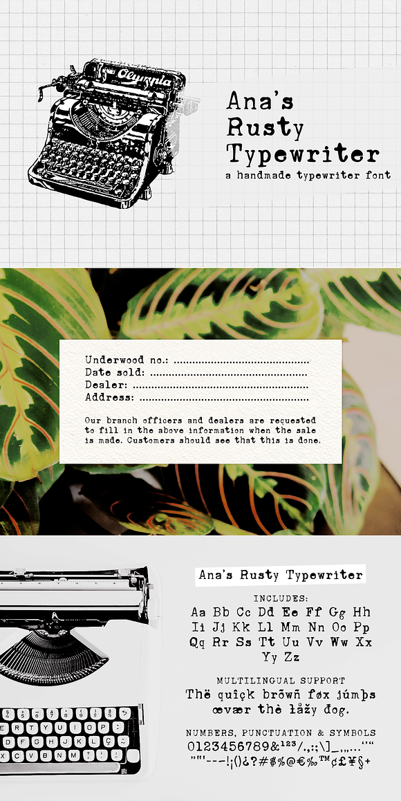 Ana's Rusty Typewriter font in Serif Fonts - product preview 1