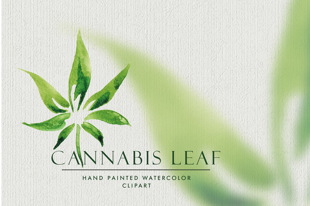 Watercolor Cannabis Leaf in Objects - product preview 8