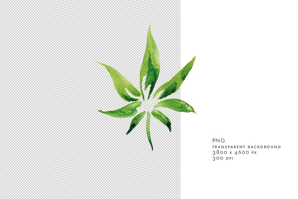Watercolor Cannabis Leaf in Objects - product preview 1