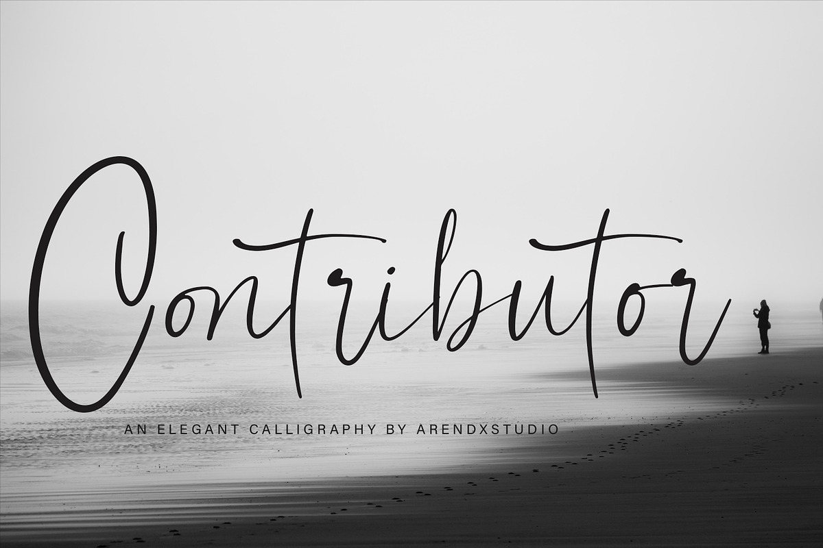 Contributor Calligraphy Font in Script Fonts - product preview 8