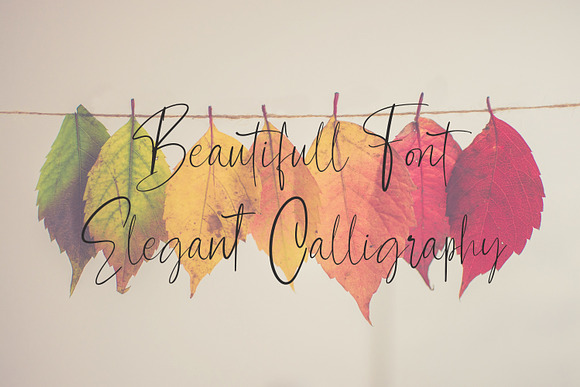 Contributor Calligraphy Font in Script Fonts - product preview 3