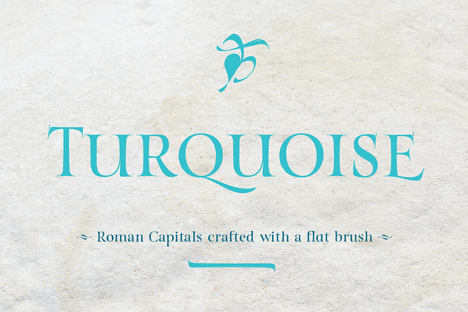 Turquoise in Serif Fonts - product preview 8