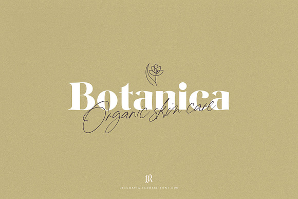 Belgravia Terrace Font Duo in Serif Fonts - product preview 4