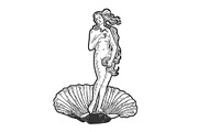 Birth of Venus sketch engraving