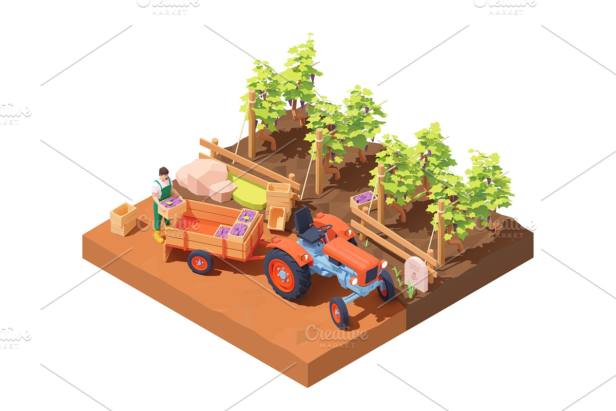 Vector isometric vineyard in Illustrations - product preview 8