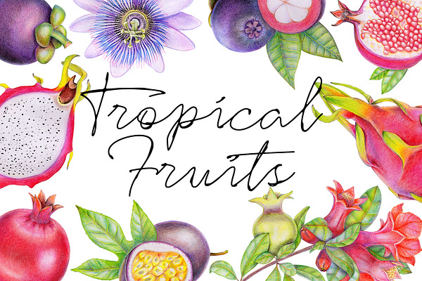 Tropical fruits & flowers set