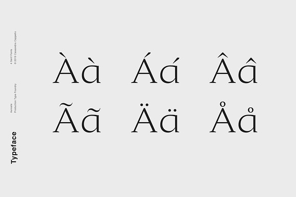 Aureate - A Sophisticated Serif in Serif Fonts - product preview 3