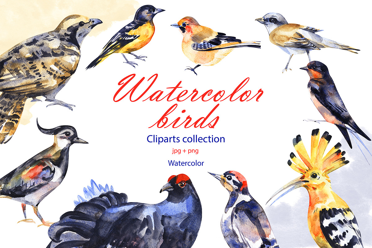 Watercolor birds in Illustrations - product preview 8