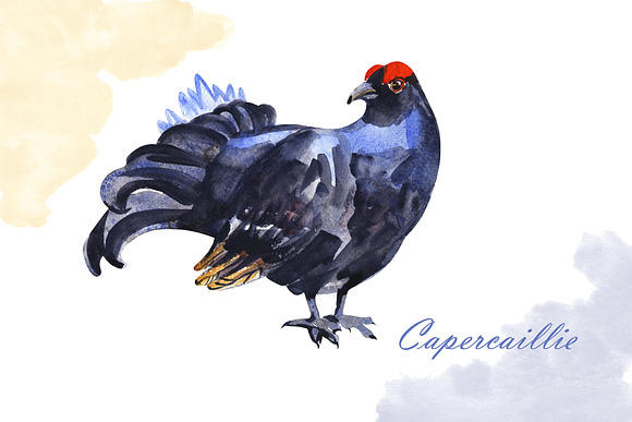 Watercolor birds in Illustrations - product preview 2