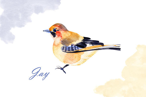 Watercolor birds in Illustrations - product preview 7