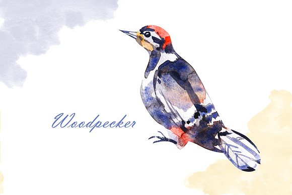 Watercolor birds in Illustrations - product preview 10