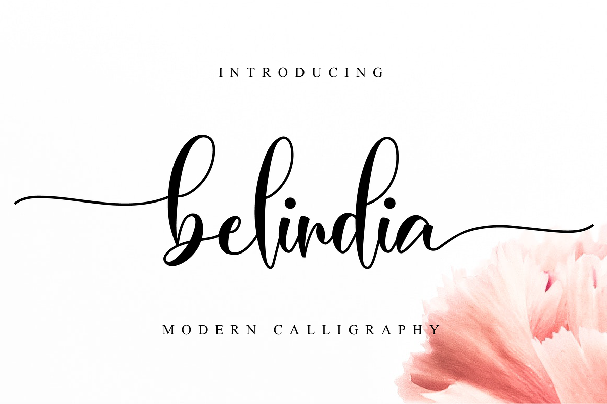 Belindia Script in Script Fonts - product preview 8