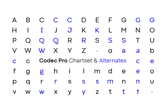 Codec Pro 22 fonts + 1 variable in Sans-Serif Fonts - product preview 3