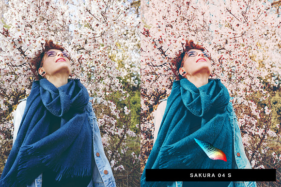50 Japan Lightroom Presets and LUTs in Add-Ons - product preview 4