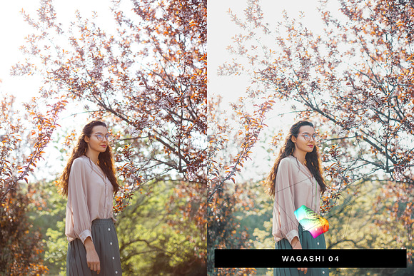 50 Japan Lightroom Presets and LUTs in Add-Ons - product preview 5