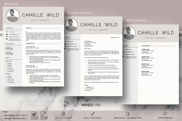 Professional CV for Project Manager in Resume Templates - product preview 2