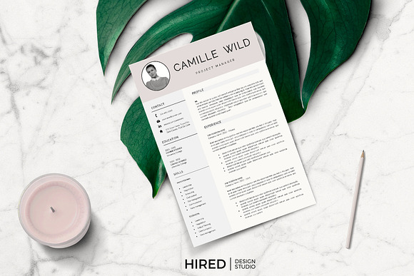Professional CV for Project Manager in Resume Templates - product preview 9