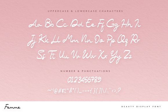 Femme Beauty Display Font in Display Fonts - product preview 8