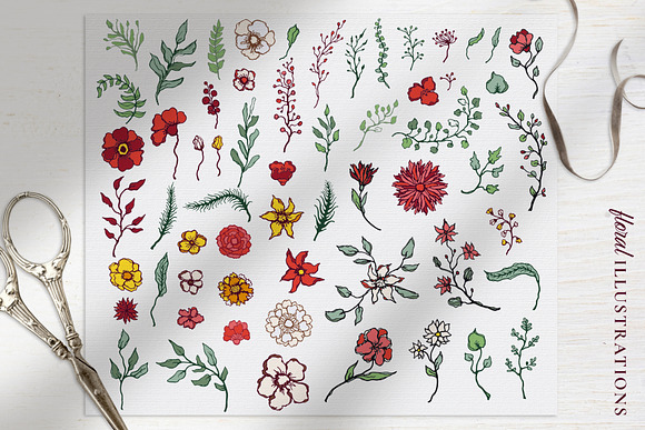 Winter Floral Patterns & Elements in Illustrations - product preview 2