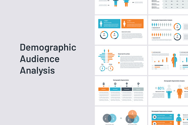 Audience & Demographic PowerPoint