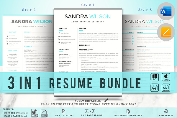 1, 2 & 3 Pages Word Resume Template