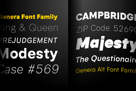 Genera | 50% OFF in Sans-Serif Fonts - product preview 5