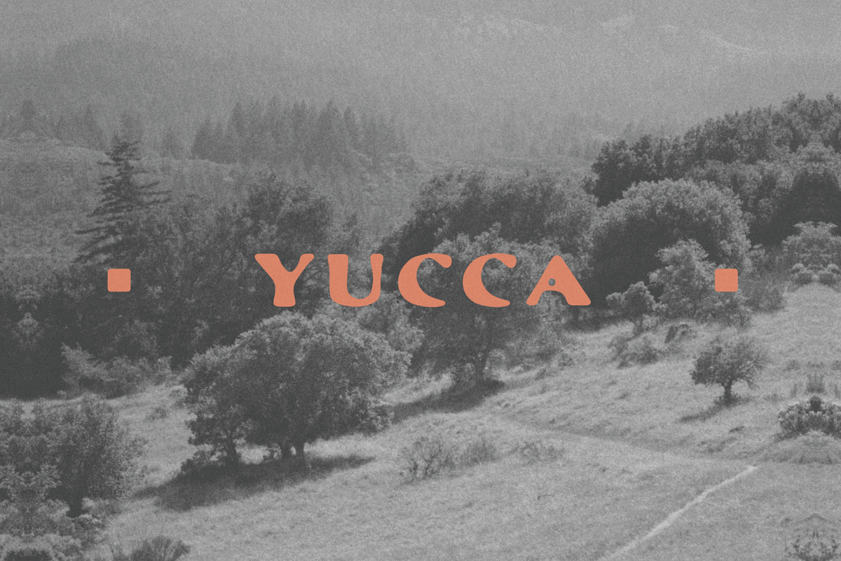 Yucca in Display Fonts - product preview 8
