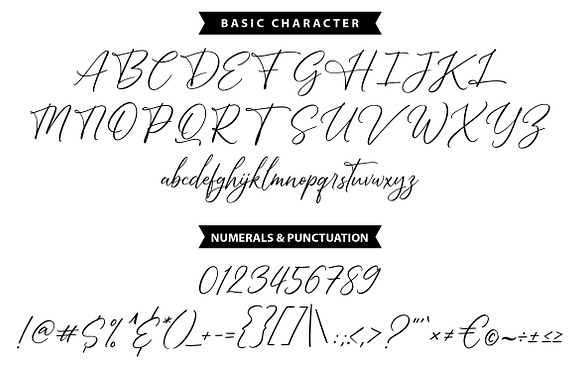 BrightDaily |Modern Handwriting Font in Script Fonts - product preview 6