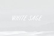 White Sage