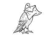 Postal dove with letter sketch
