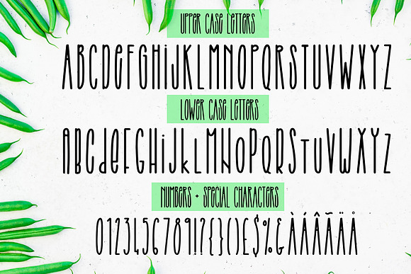 String Beans - An all caps font duo in Display Fonts - product preview 1