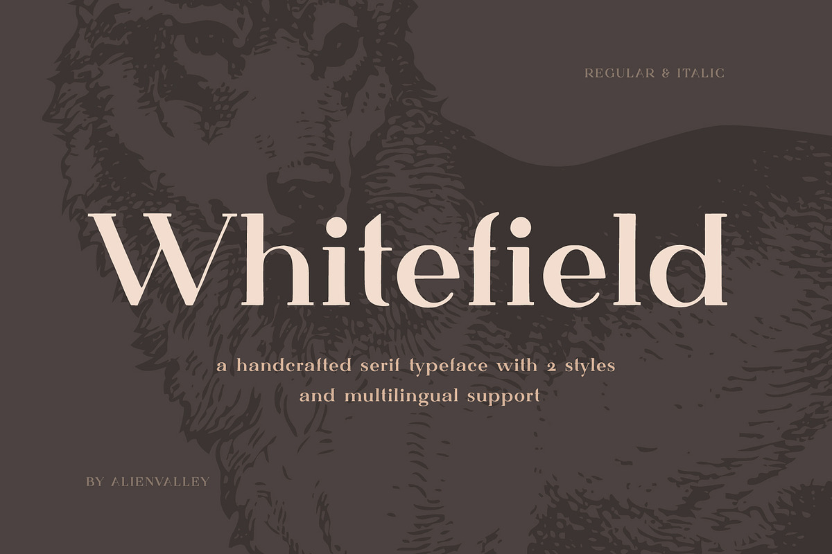 Whitefield - Handcrafted Serif in Serif Fonts - product preview 8